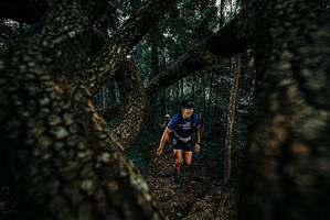 BIB: 
                            <button type="button" onclick="openModal(25680817)" class="btn btn-primary btn-sm float-right btn-popup" data-toggle="modal" data-target=".modal-high-quality">
                        <i class="fas fa-shopping-cart"></i> Add to Cart
                    </button>
                                            <button type="button" onclick="isThisMe(25680817, true)" class="btn btn-success btn-sm float-right btn-popup btn-isme hidden" data-toggle="tooltip" data-placement="bottom" title="นี่คือรูปของคุณใช่ไหม คลิกที่นี่เพื่อเอาเข้าอัลบั้ม">
                        <i class="fas fa-plus"></i> Add to album
                    </button>
                    <button type="button" onclick="isThisMe(25680817, false)" class="btn btn-warning btn-sm float-right btn-popup btn-isnotme hidden">
                        <i class="fas fa-ban"></i> Remove from album
                    </button>